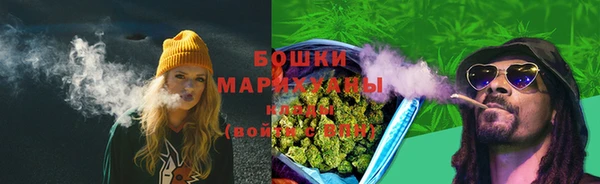 СК Мегион